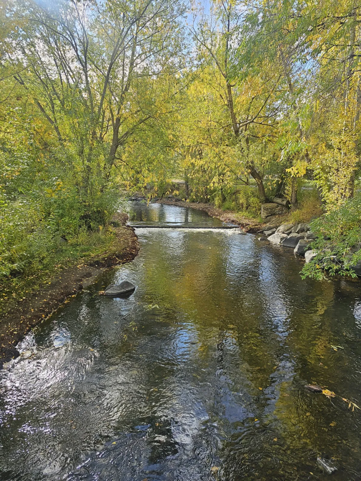 A scenic view of a flowing river surrounded by leafy trees, with serene reflections on the water and a tranquil natural setting.