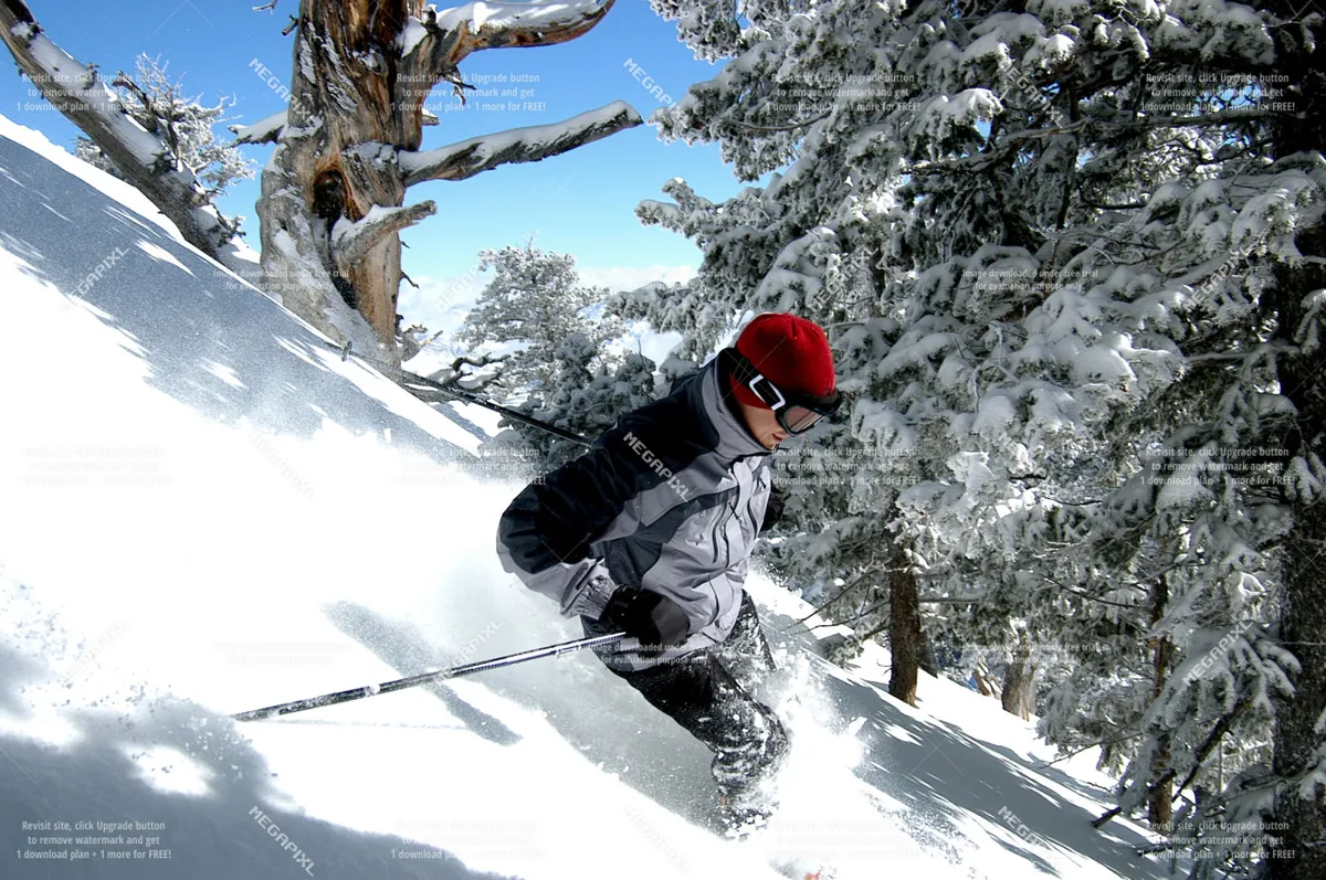 A panoramic exterior view of a skier descending sunlit snow-covered slopes lined with pine trees. The scene evokes the exhilaration of a first ski run and the beauty of a clear winter day in the mountains, inviting viewers to imagine themselves on the slopes.